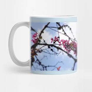 red Malus Radiant crab apple blossoms #8 Mug